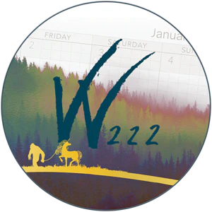 Wonderland 222